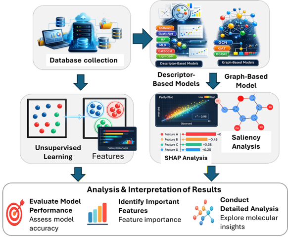 Machine learning workflow for molecular property prediction and interpretation